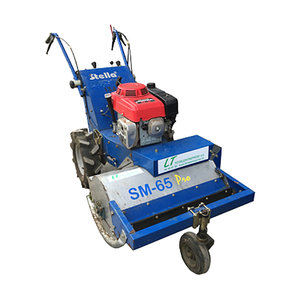 Petrol Flail Mower