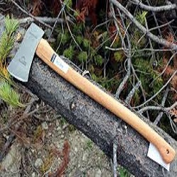 Felling Axe Hire