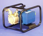 Transfer Pump