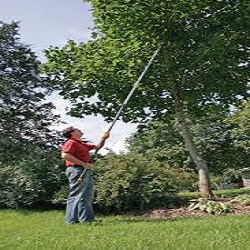 Long Handle Tree Pruner Hire