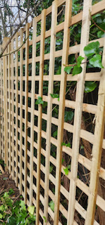 Trellis